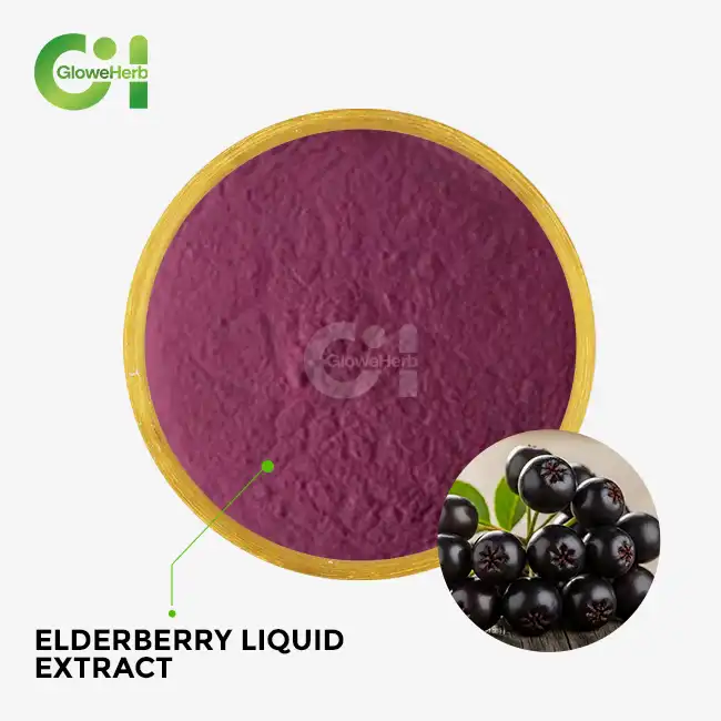 Elderberry Liquid Extract